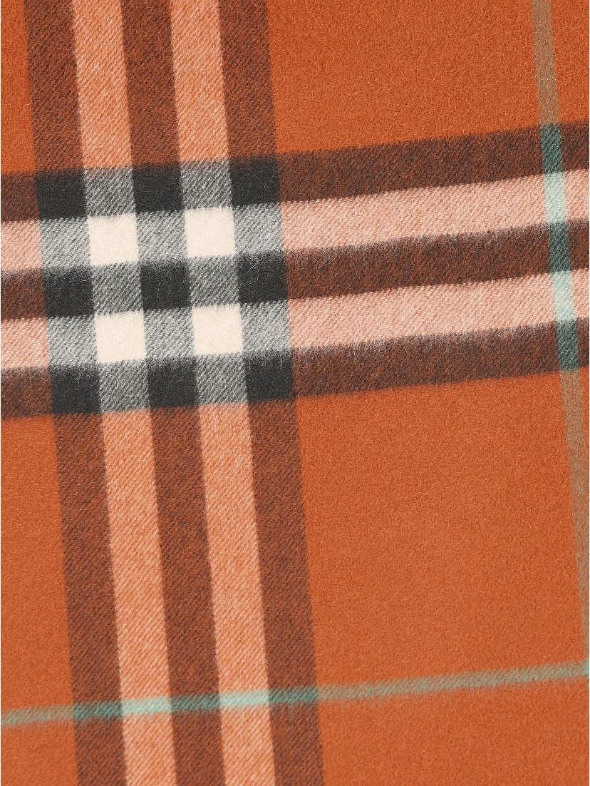 Burberry Scarfs