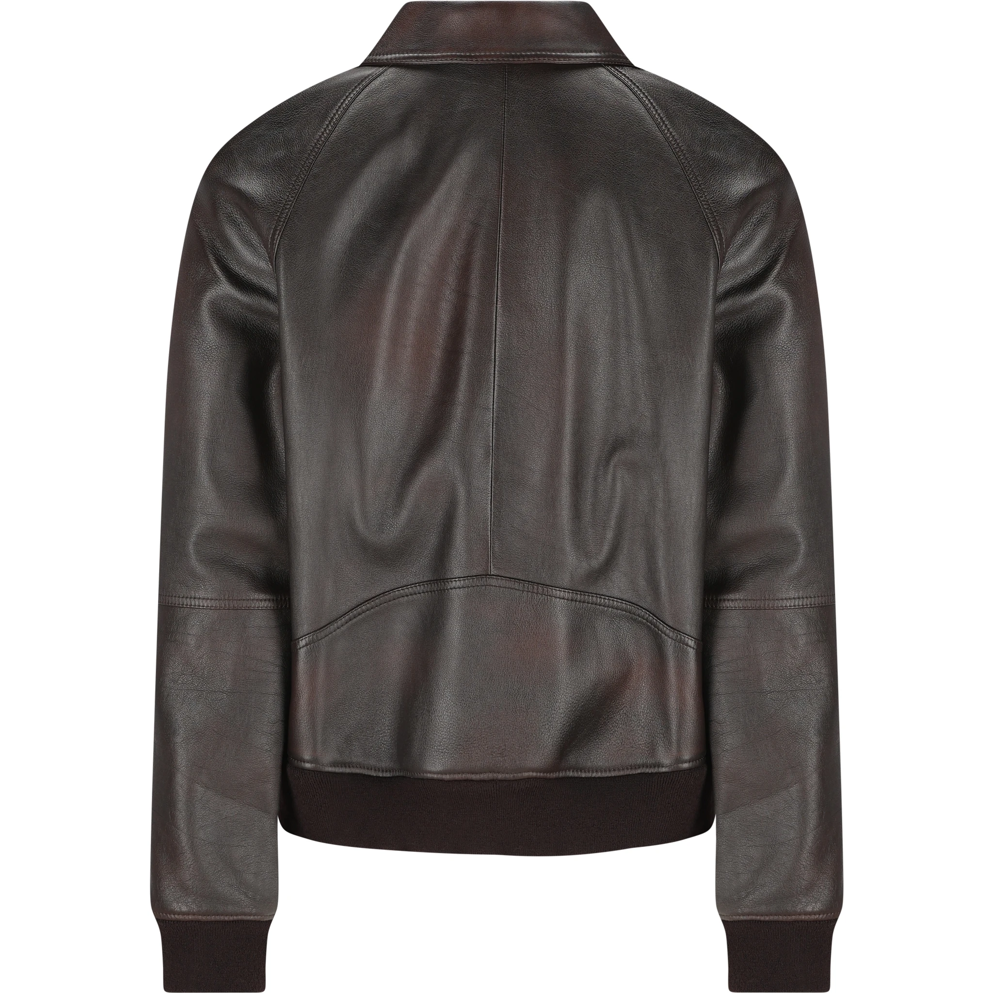 جاكيتات سيلين