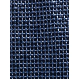 Corneliani Ties Blue