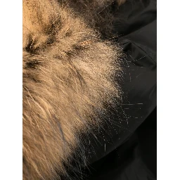 Woolrich Coats Black