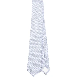 Corneliani Ties Light Blue