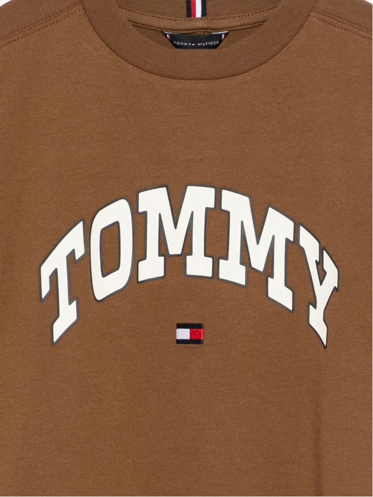 Tommy Hilfiger T-shirts and Polos Brown alternative