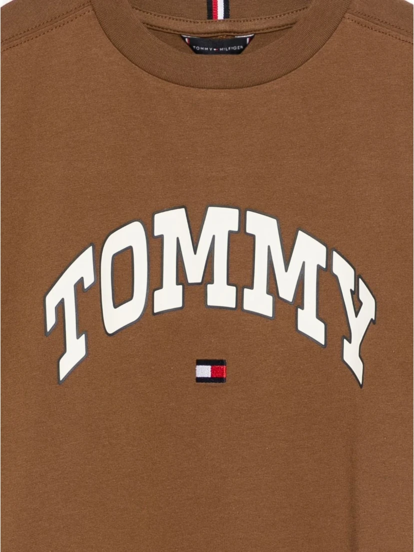 Tommy Hilfiger T-shirts and Polos Brown
