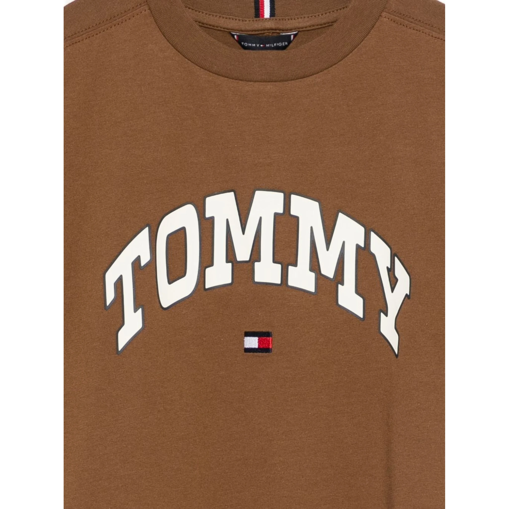 Tommy Hilfiger T-shirts and Polos Brown