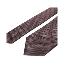 Corneliani Ties Brown