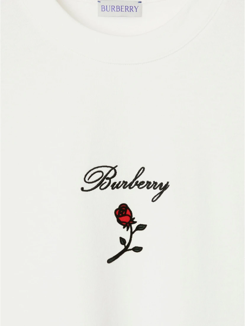 Burberry T-shirts and Polos