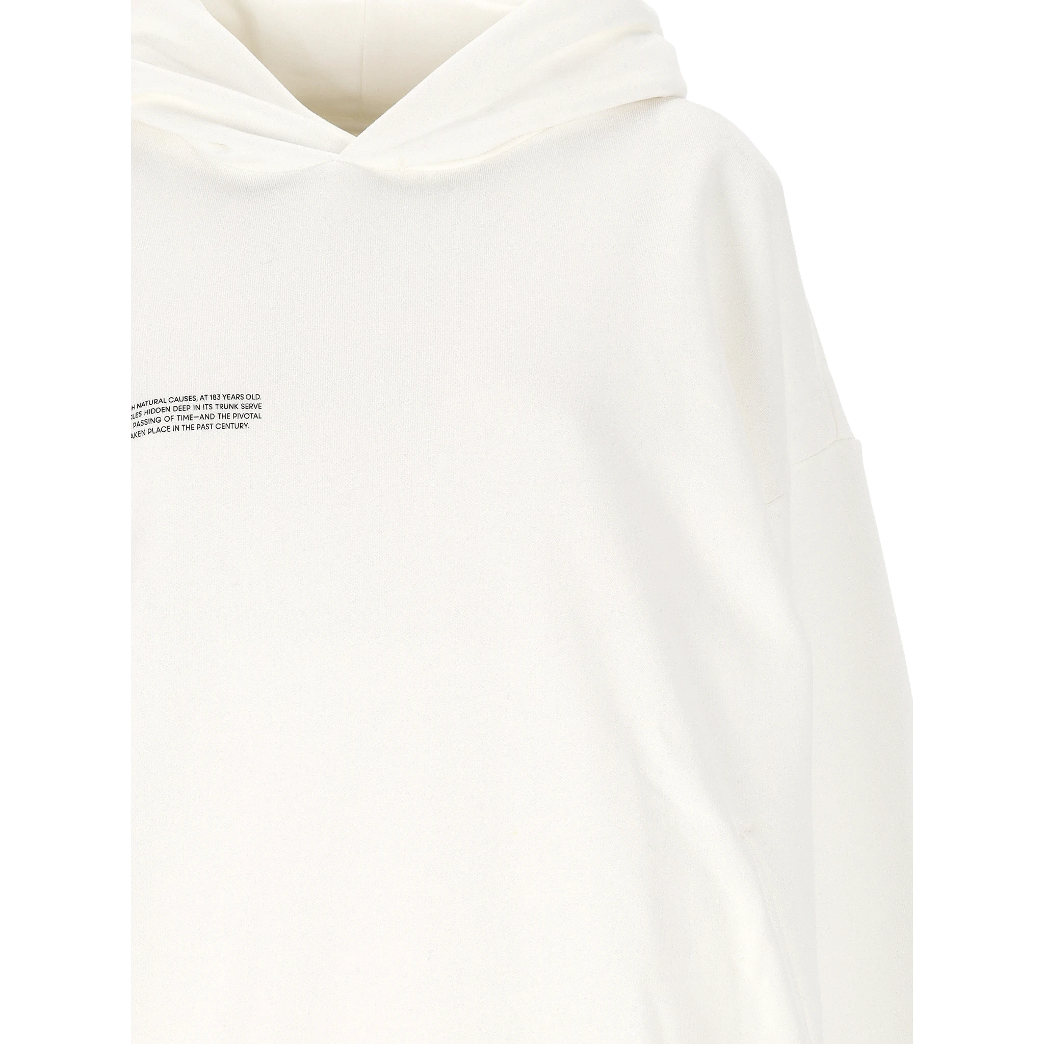 PANGAIA Sweaters Beige