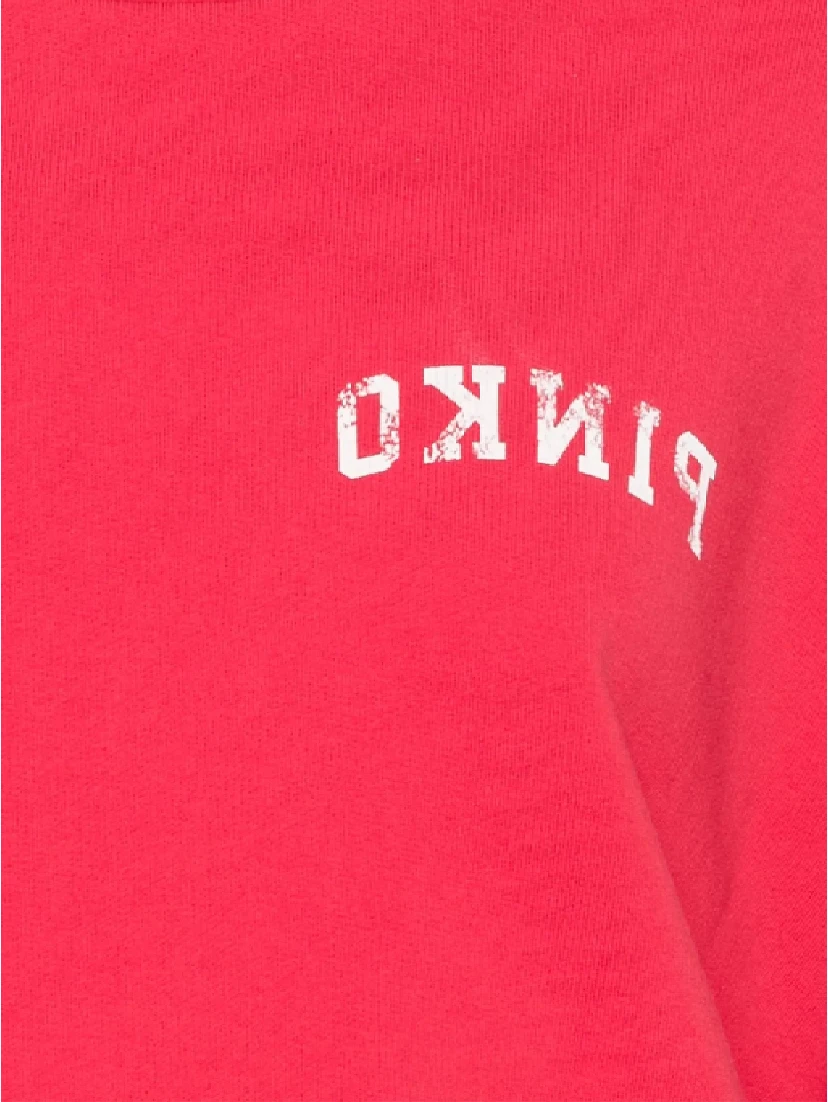 Pinko Sweaters