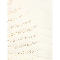 Roberto Cavalli Top White