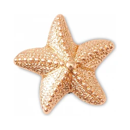 Crocs Bijoux