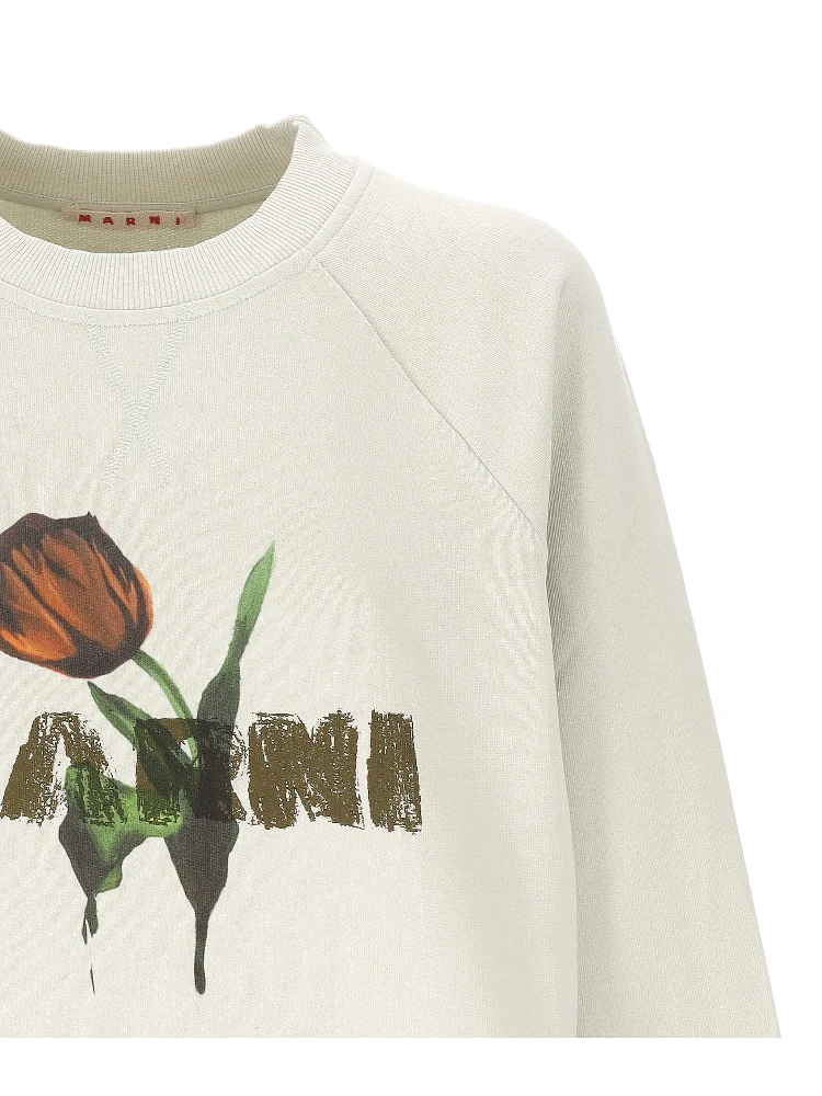 Marni Sweaters alternative