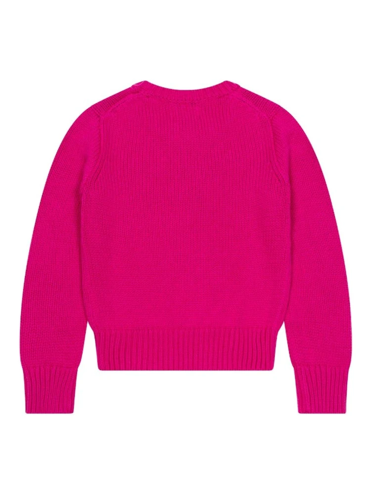 Polo Ralph Lauren Sweaters alternative