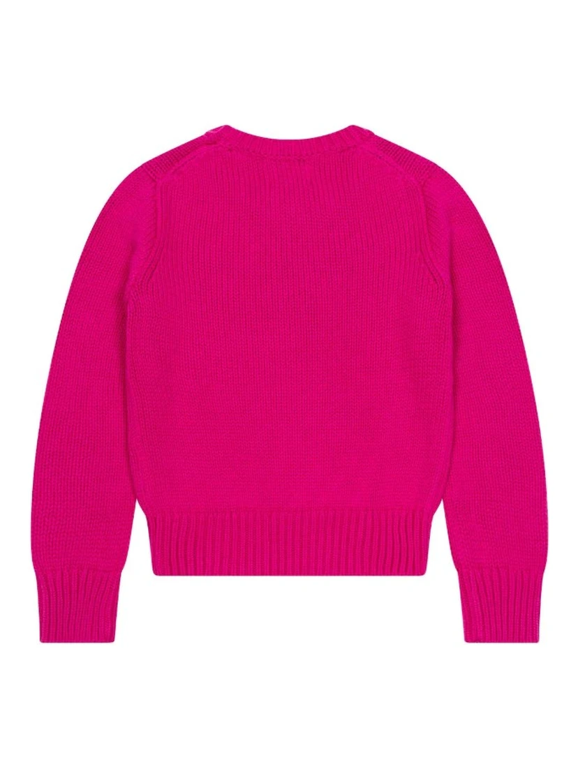 Polo Ralph Lauren Sweaters