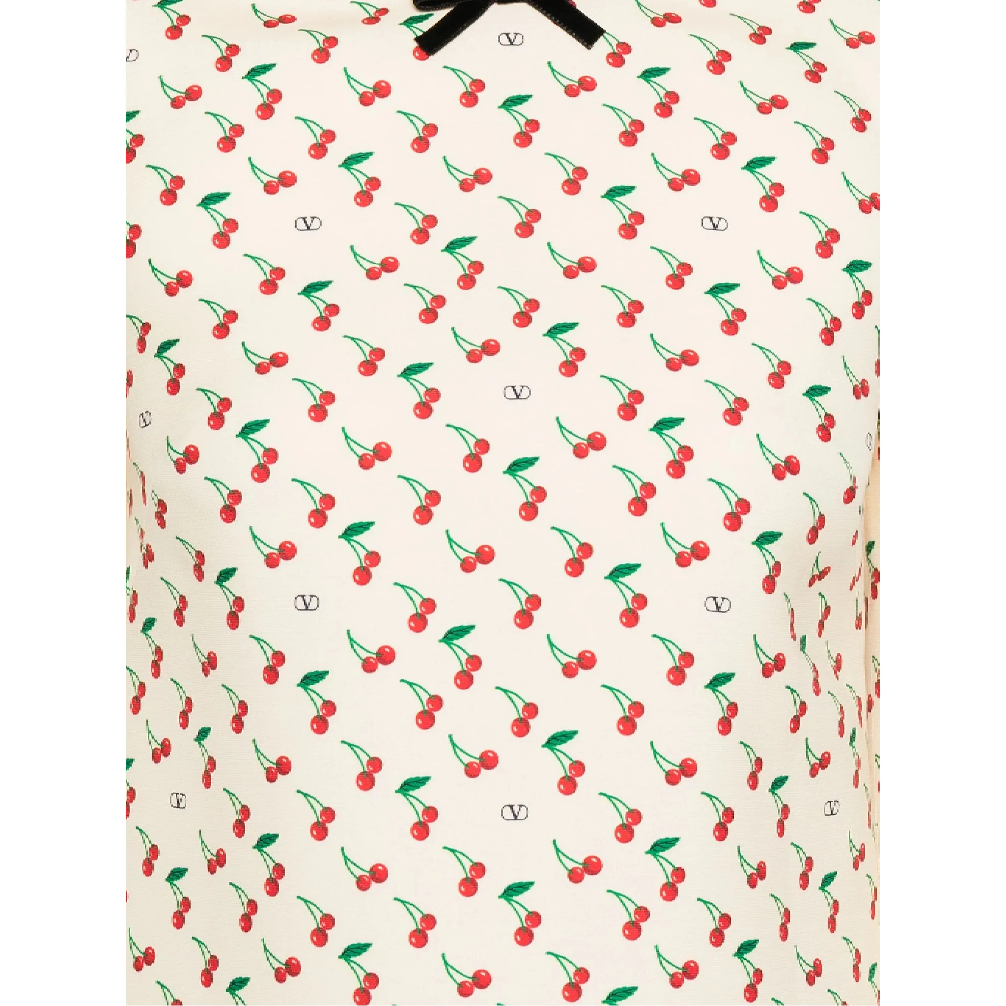 Valentino PAP Dresses