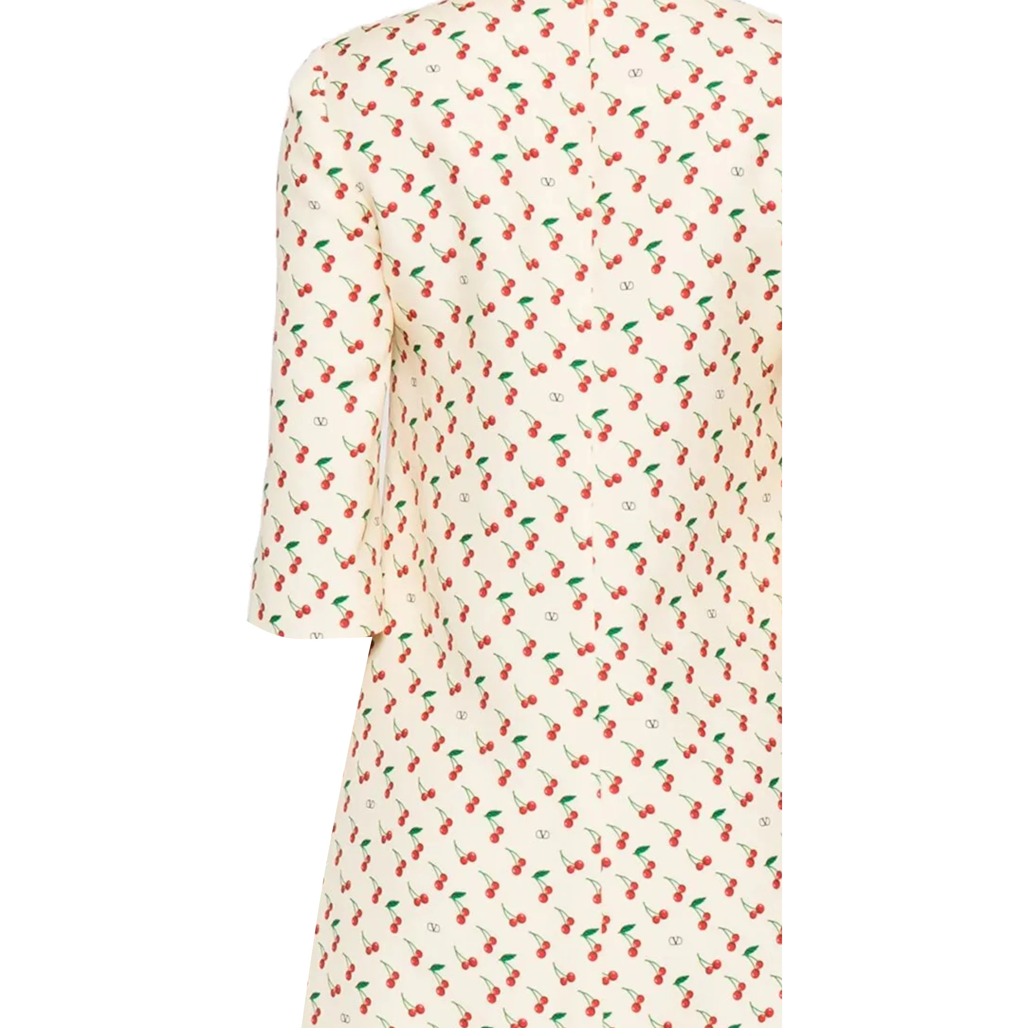 Valentino PAP Dresses