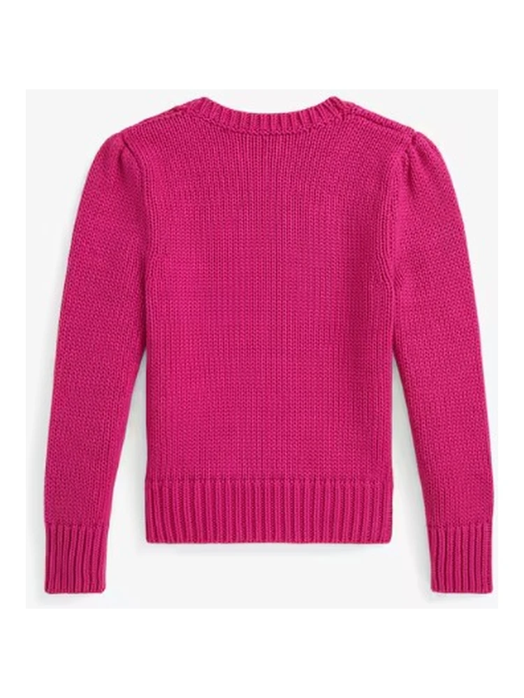 Polo Ralph Lauren Sweaters alternative