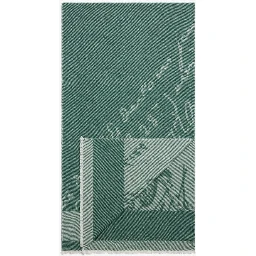 BERLUTI Scarfs Green