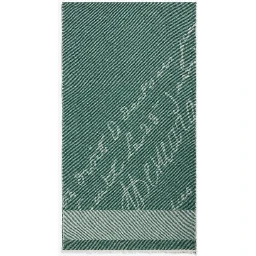 BERLUTI Scarfs Green