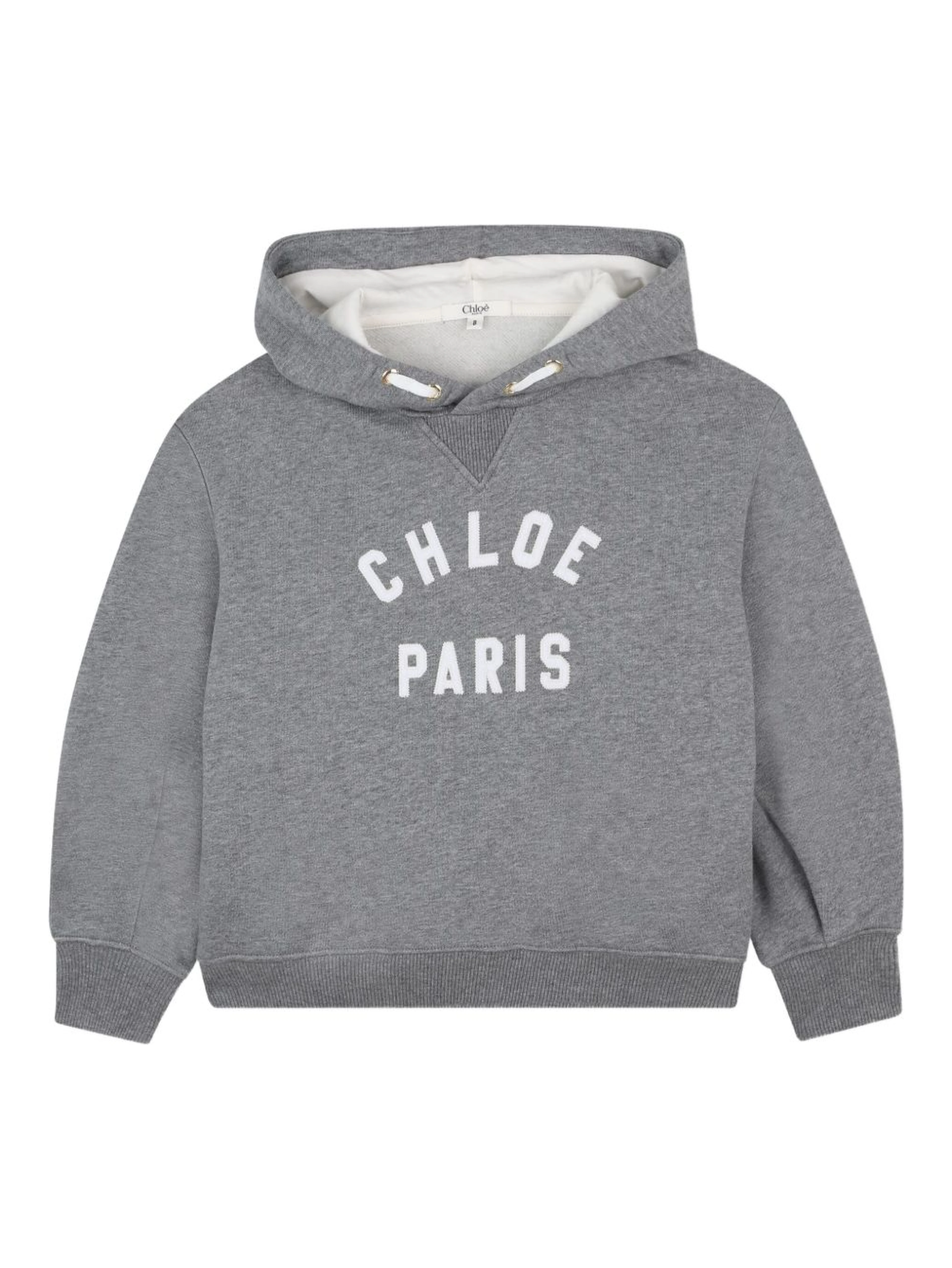 Chloè Sweaters Grey