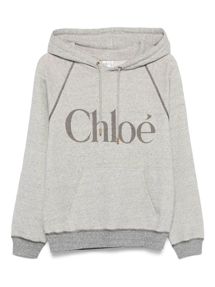 Chloè Sweaters Grey