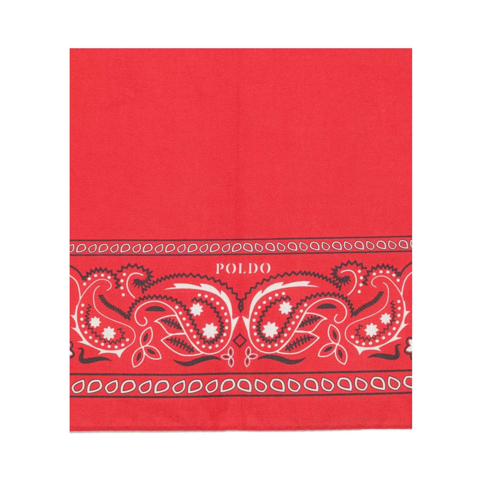 paisley-print bandana