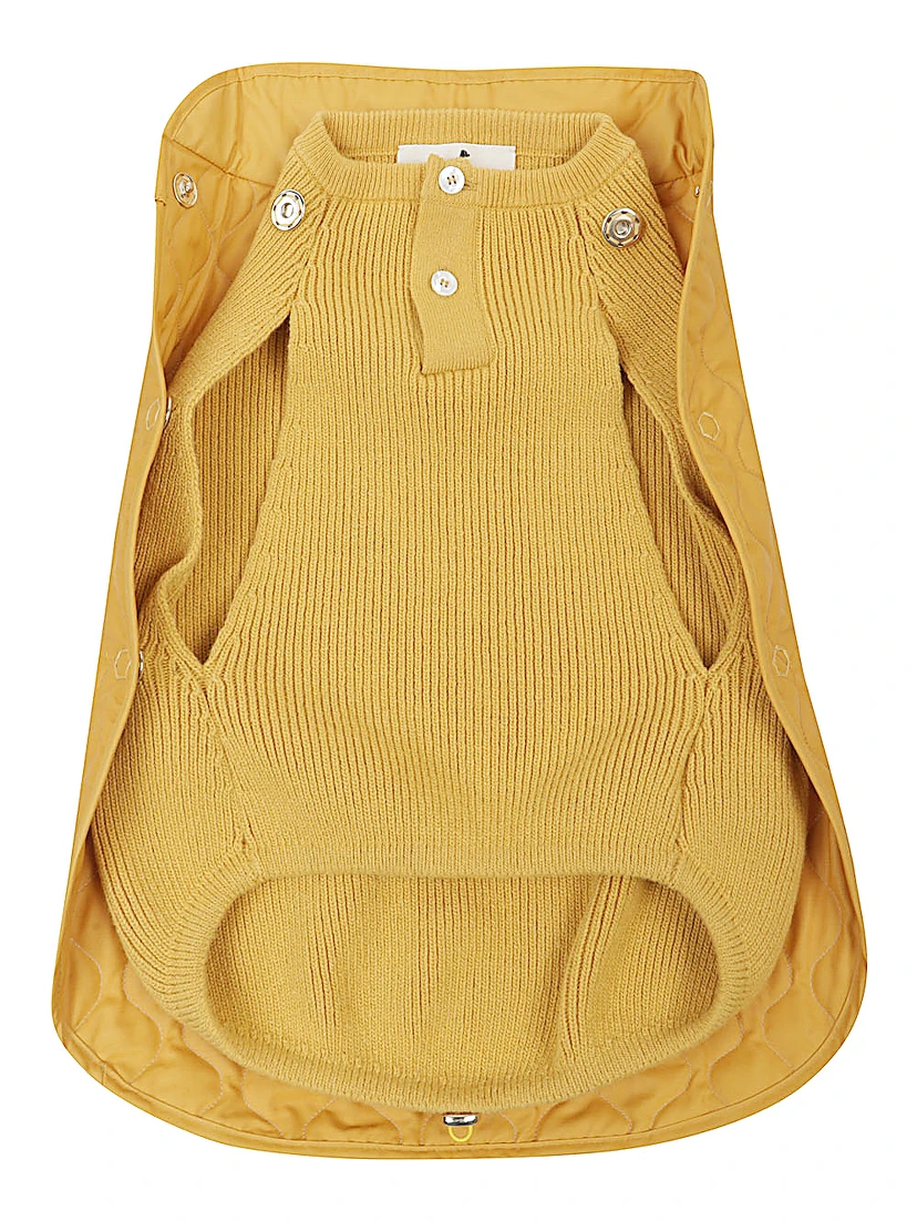 POLDO DOG COUTURE Accessories Orange