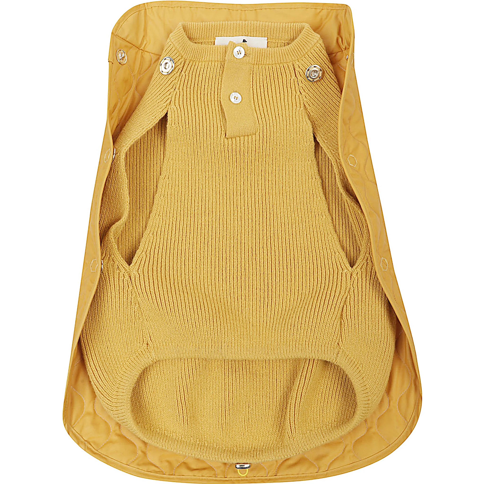 POLDO DOG COUTURE Accessories Orange