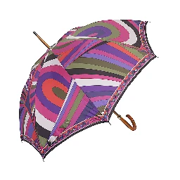 Pucci Accessories MultiColour
