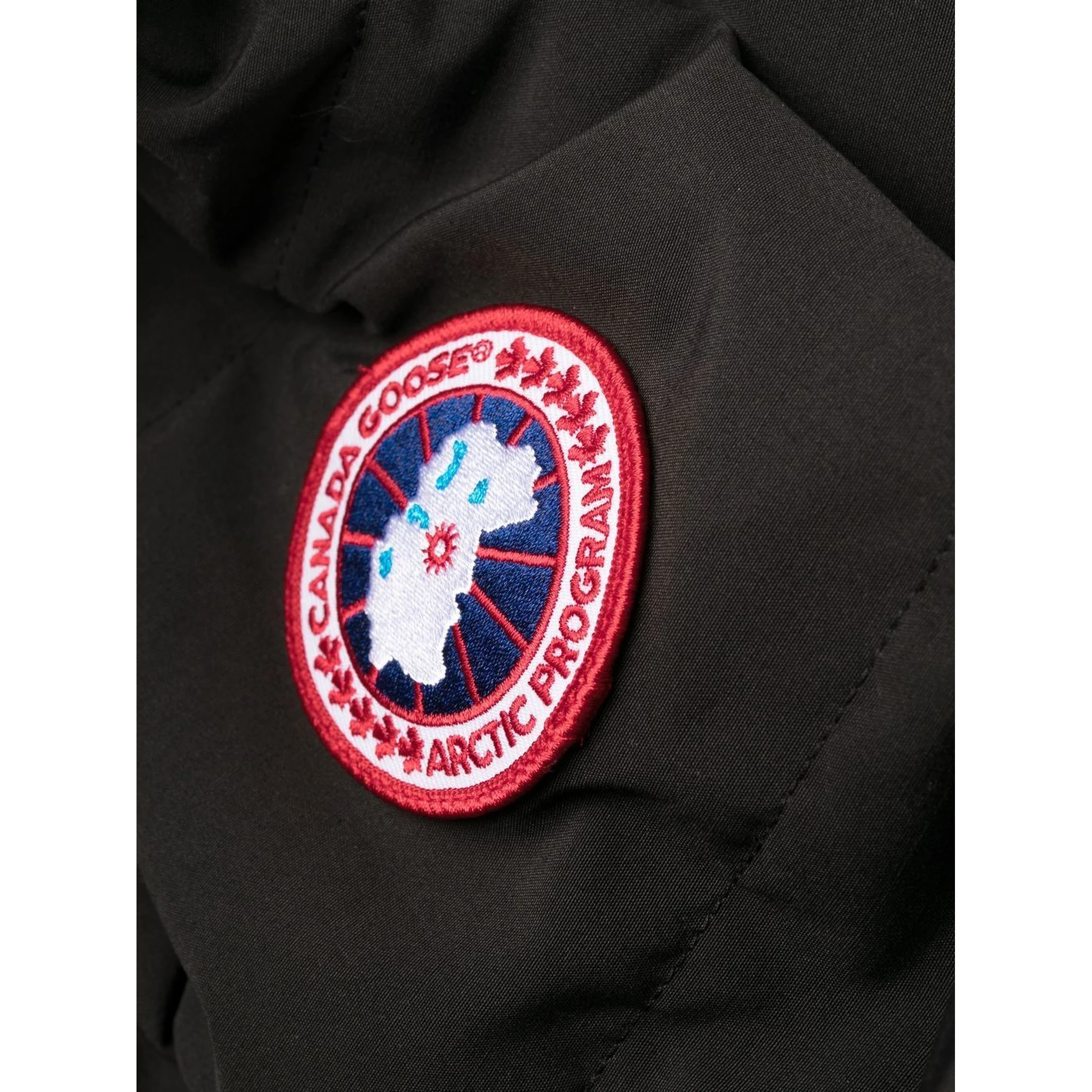 Canada Goose Coats Black