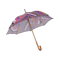 Pucci Accessories MultiColour