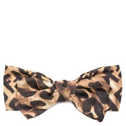 Fendi Accessories Brown