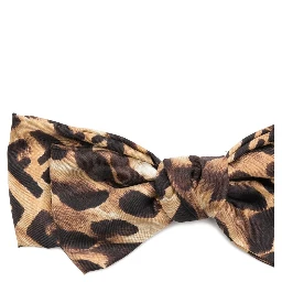 Fendi Accessories Brown