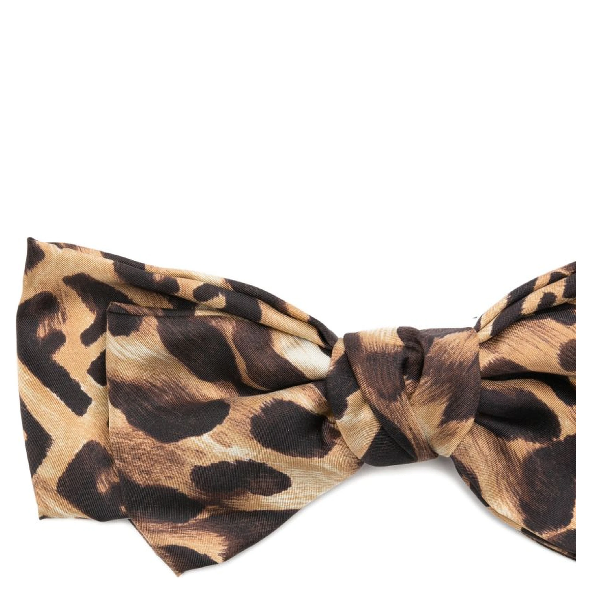 Fendi Accessories Brown