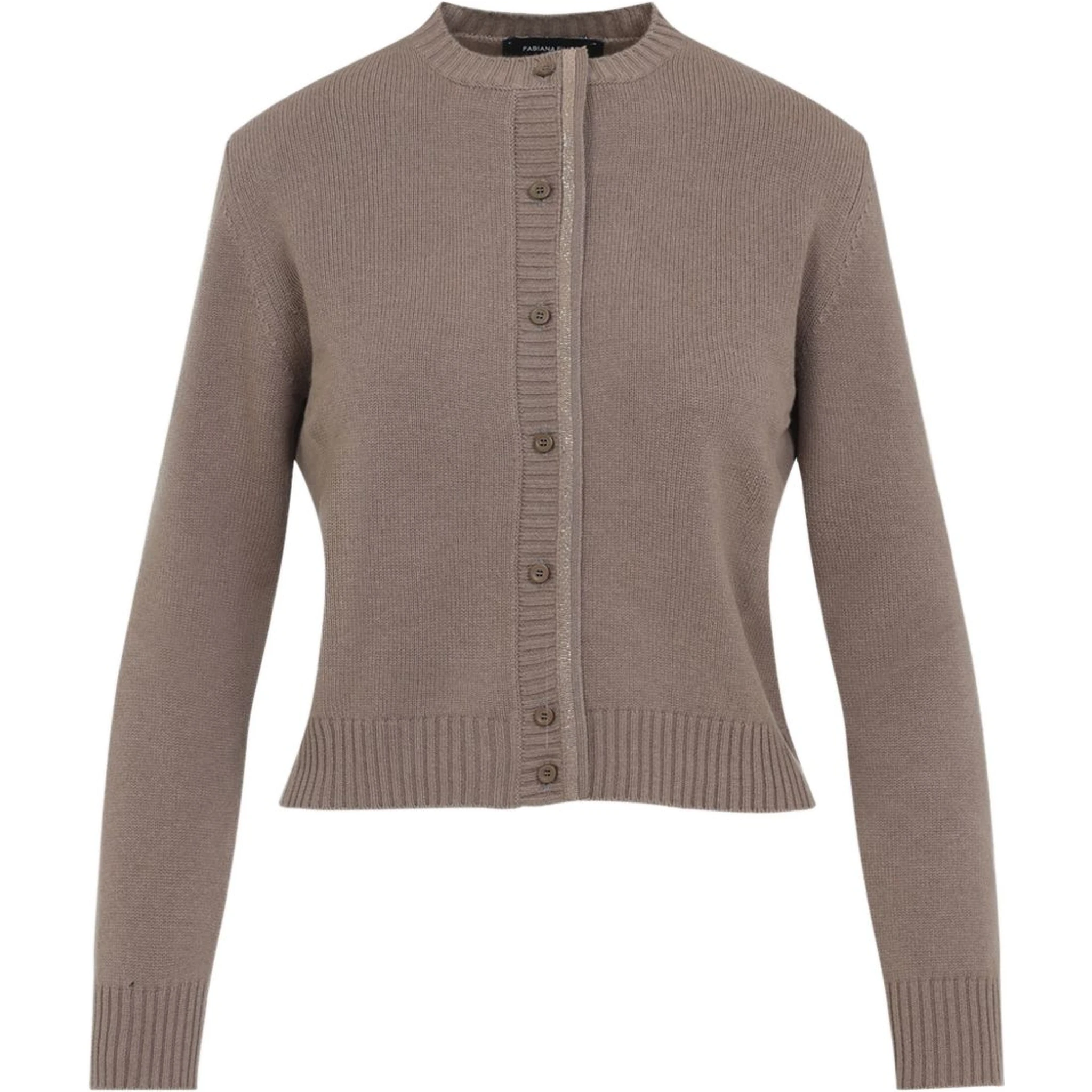 Fabiana Filippi Sweaters Brown