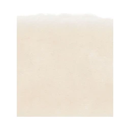 TOTEME MAIN Accessories Beige