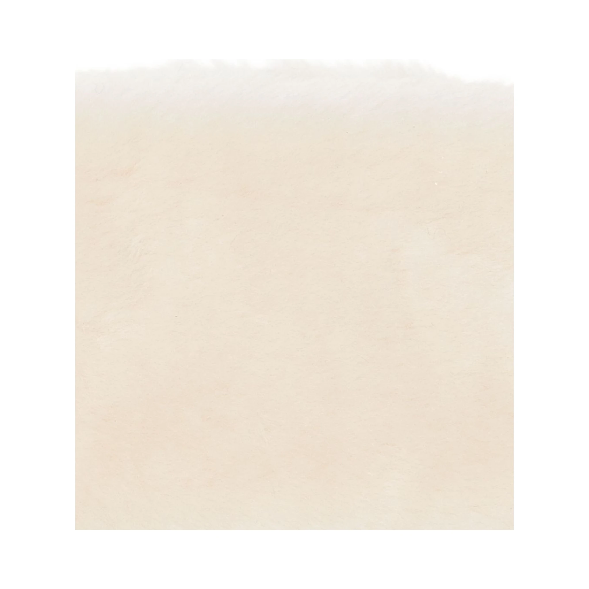 TOTEME MAIN Accessories Beige