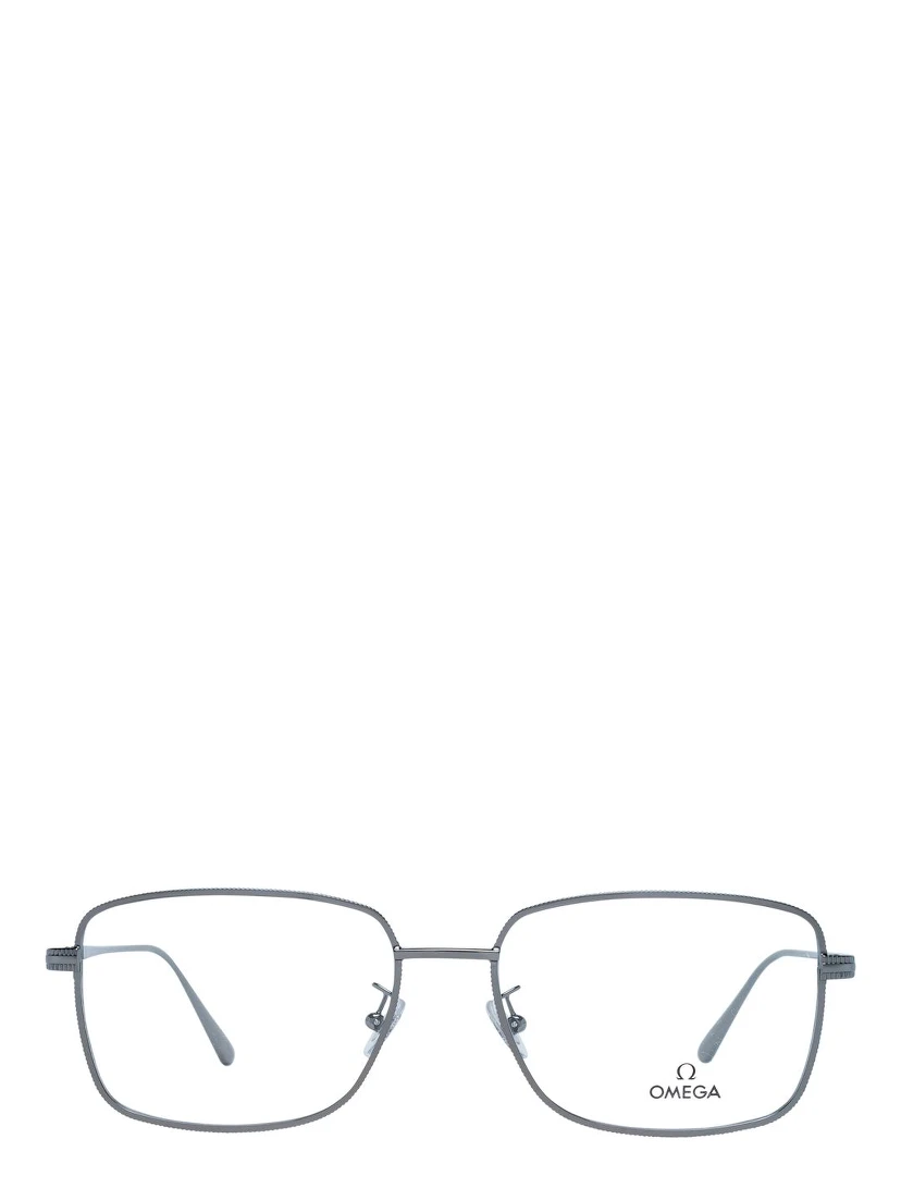 Gray Metal Glasses (Frames)