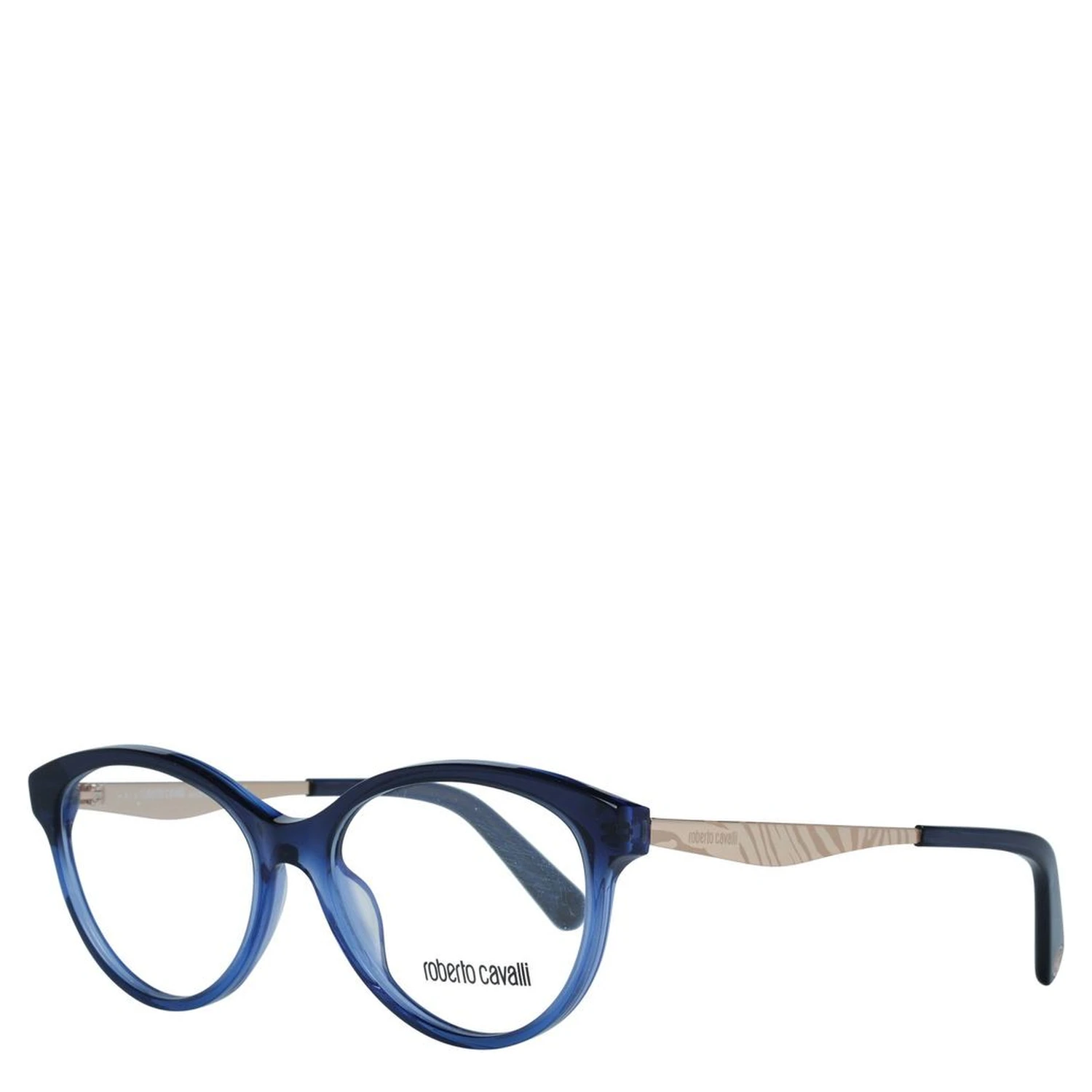 Blue Metal Glasses (Frames)