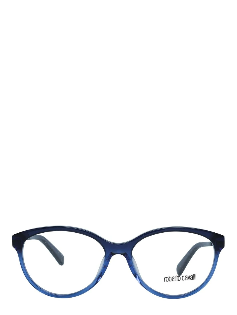 Blue Metal Glasses (Frames)