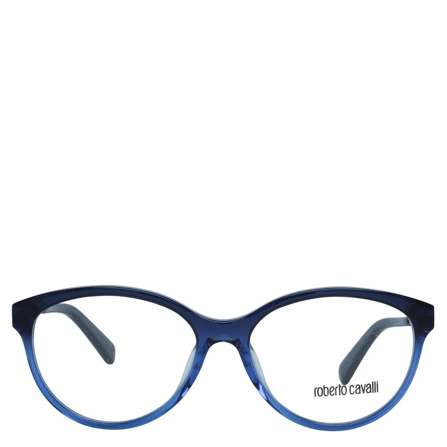 Blue Metal Glasses (Frames)