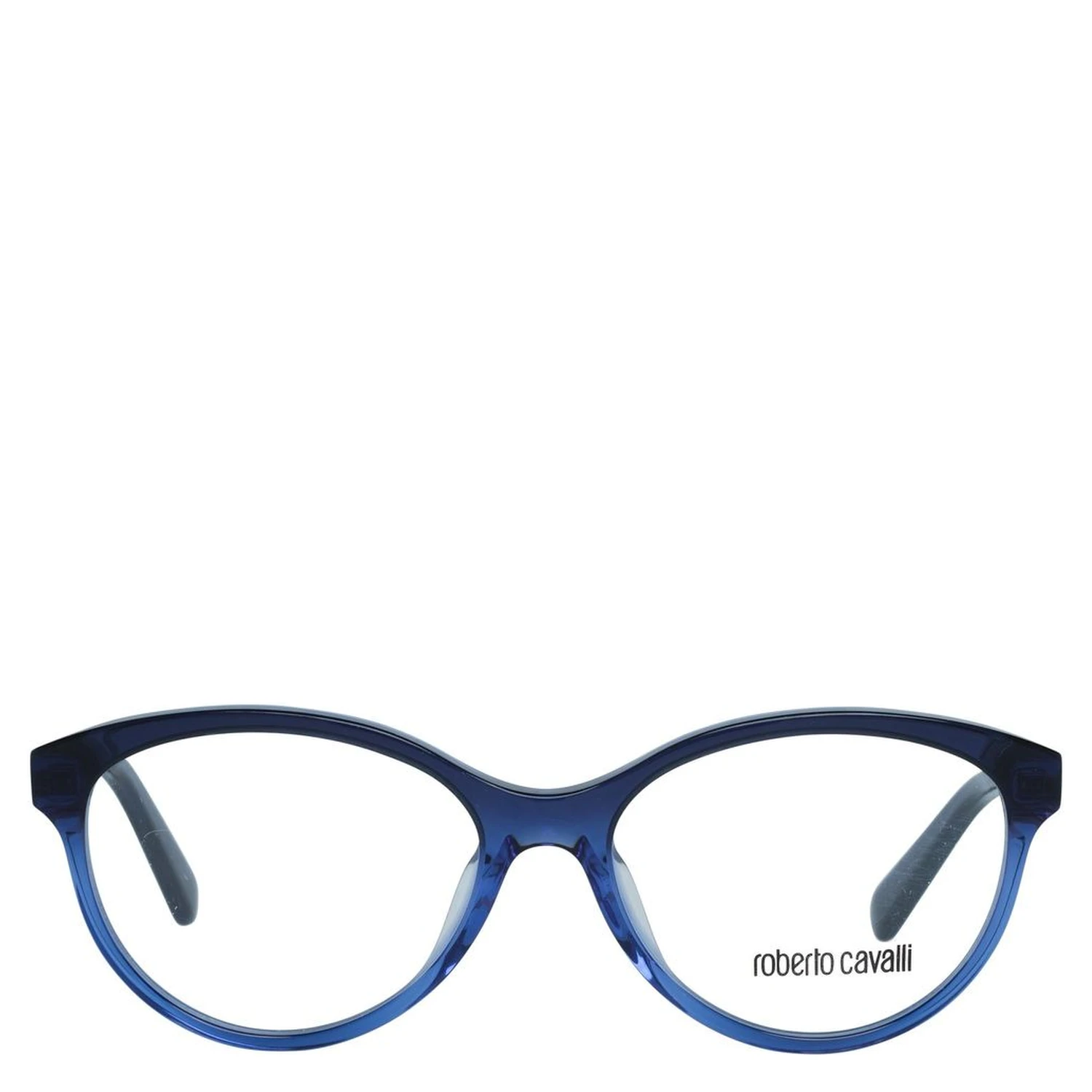 Blue Metal Glasses (Frames)
