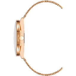 Multicolor Stainless Steel Dress Watch