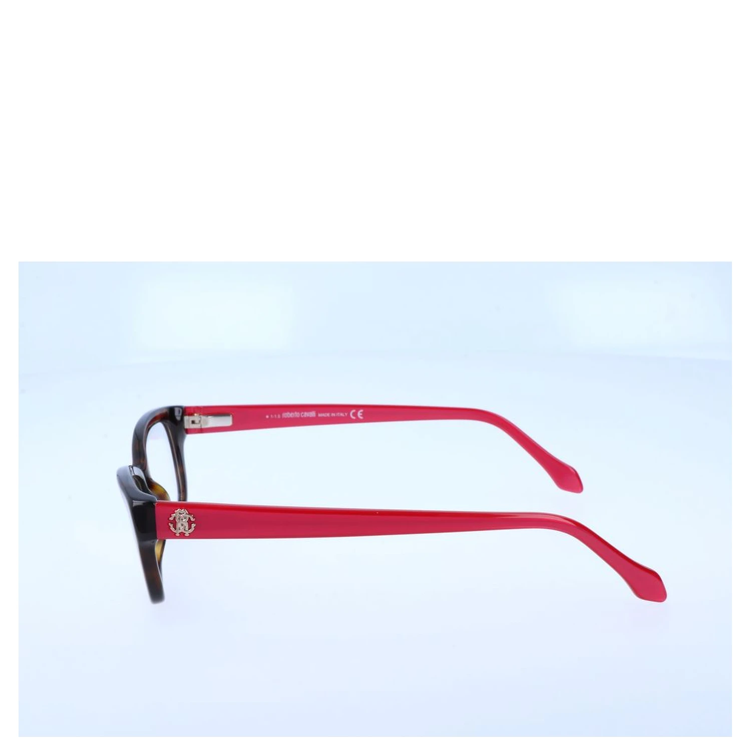 Brown Acetate Glasses (Frames)