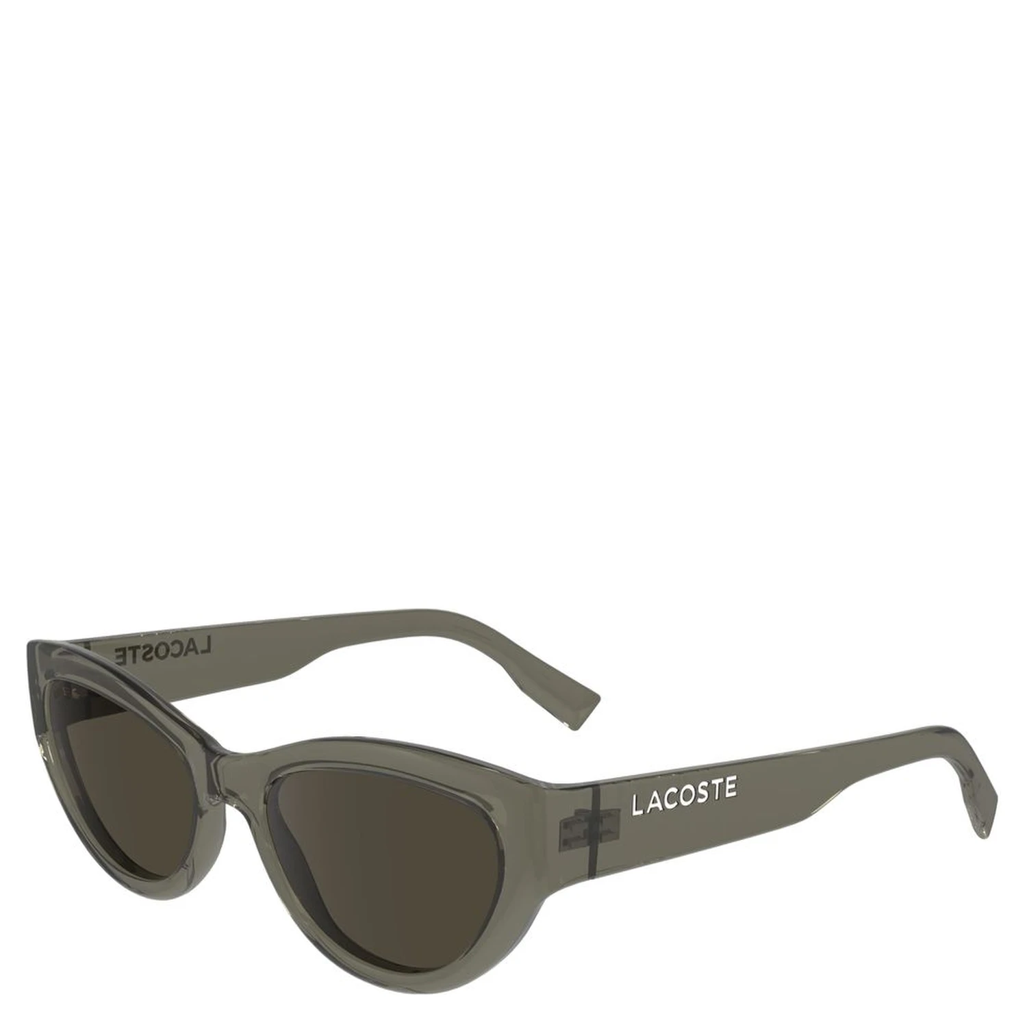 Brown Injected Sunglasses
