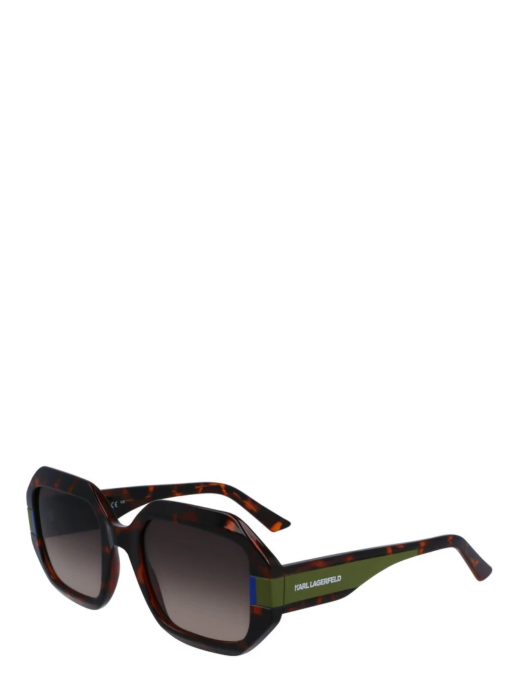 Brown Injected Sunglasses