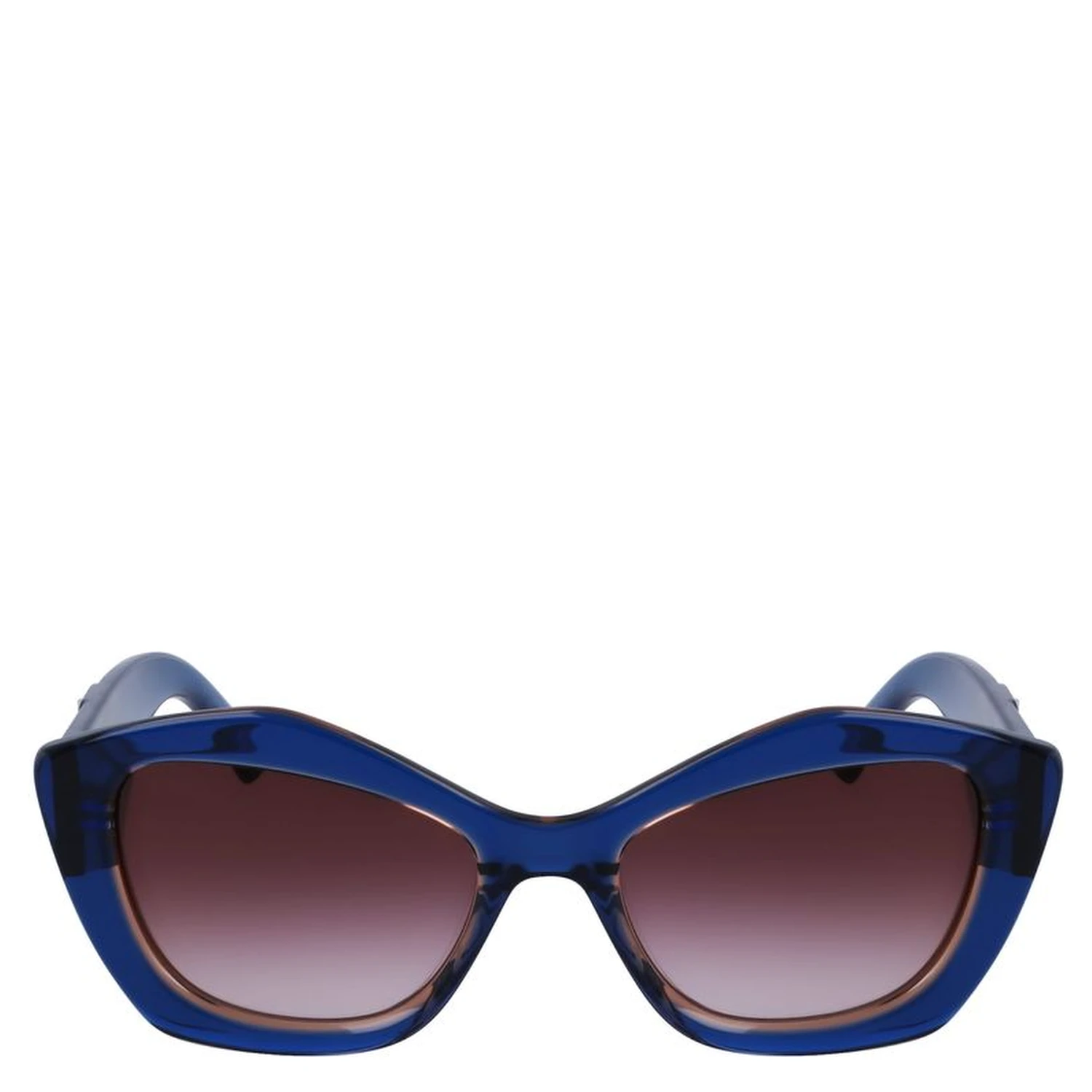 Blue Acetate Sunglasses