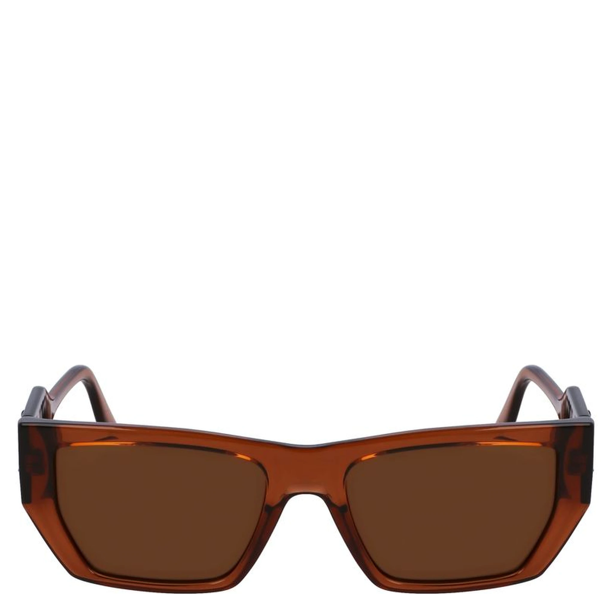 Brown Injected Sunglasses