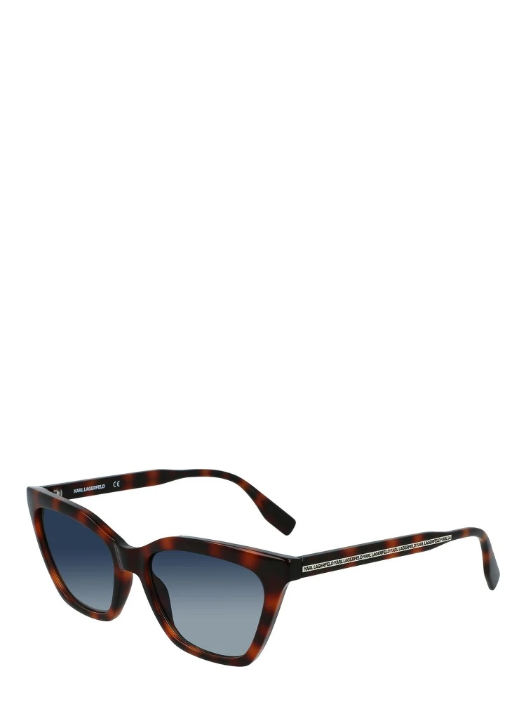 Brown Injected Sunglasses