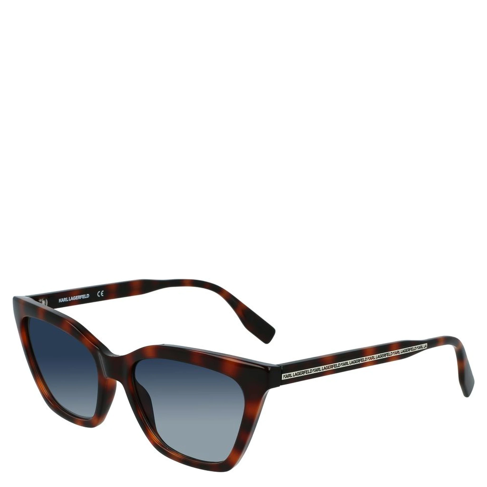 Brown Injected Sunglasses