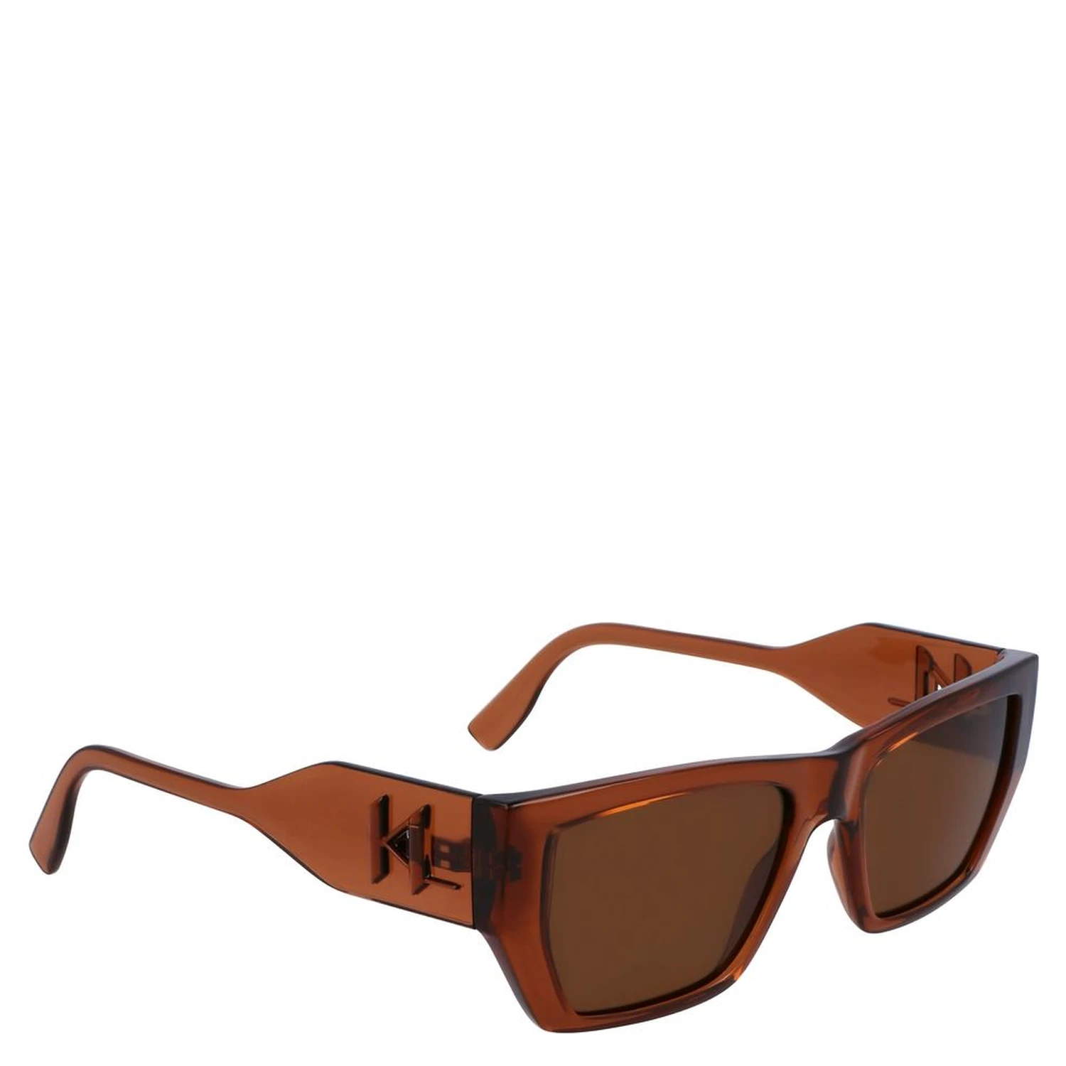 Brown Injected Sunglasses
